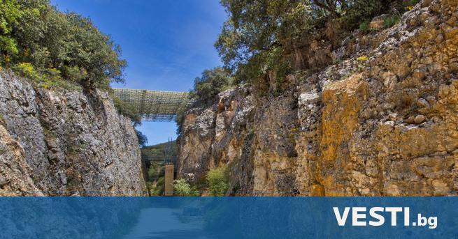 The mystery of the “bone pit” in Spain, whose remains are – Curious