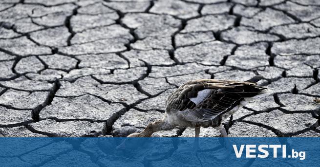 Сушата в Европа изглежда най лошата от най малко 500