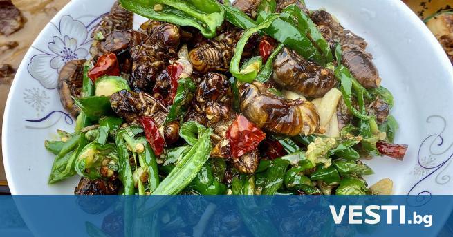 Вълненията за насекомите в храните са най малкото закъснели Защото и
