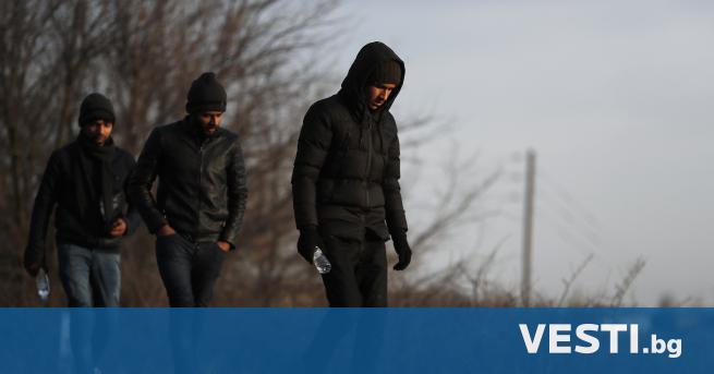 Н а мобилните телефони на мигранти влезли на полска територия