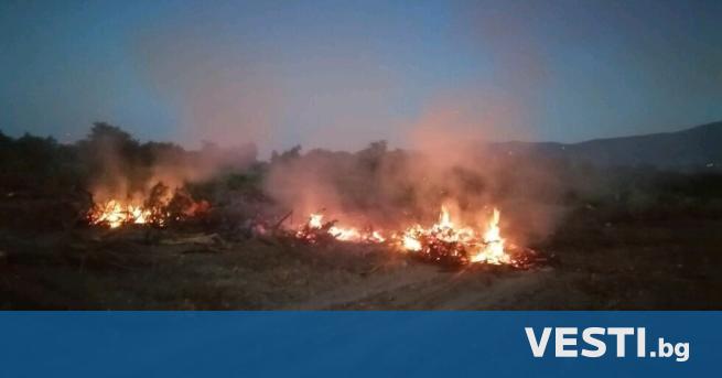 Горещините разпалиха повече от 25 пожара в Пловдивско съобщиха от