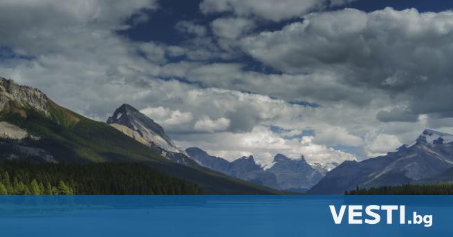 В Канада бяха открити фосили на вероятно най древните животински видове