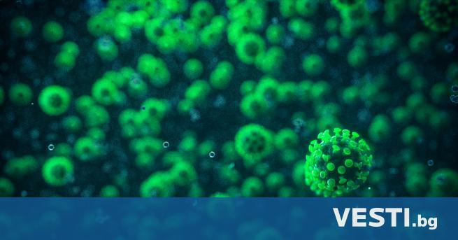 Н овите случаи на коронавирус у нас за изминалото денонощие