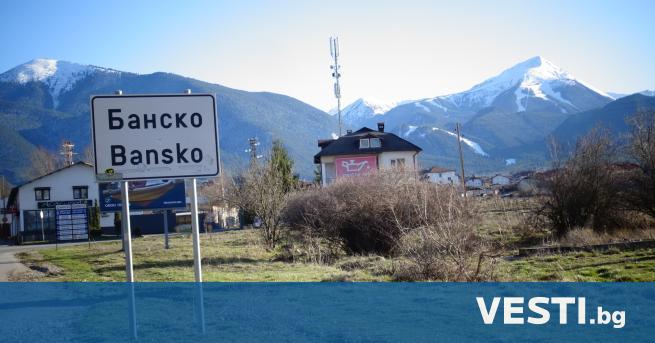 овешки останки бяха открити вчера в ски зона Банско над едноименния