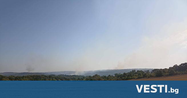 Пожарът в средецкото село Кубадин вече е локализиран съобщи областният