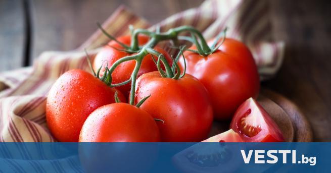 Турция спря износа на домати за Европейския съюз след земетресението.