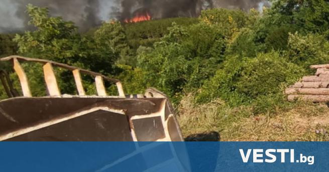 Пожарът в иглолистната гора между пазарджишките села Лесичово и Калугерово