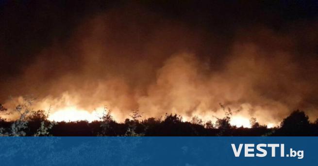 Сухи треви, стърнища и растителност горят край град Ветрен, съобщи