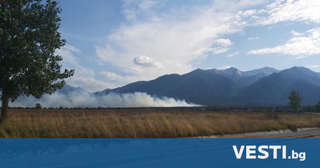 П ожар избухна в Пирин планина Гори местността Църнако и