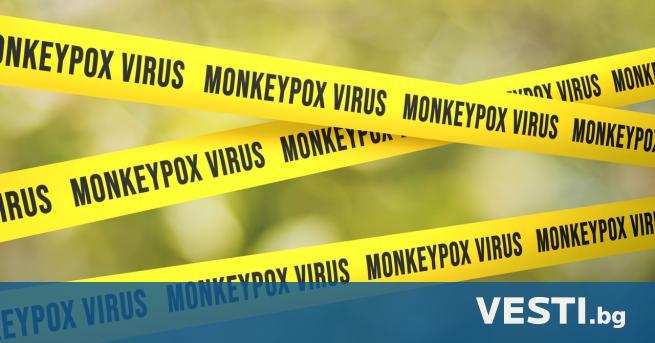Специалисти са открили фрагменти от вируса на маймунската шарка в