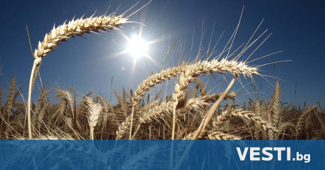 Scientist: Up to 30 years we are threatened by world hunger – World