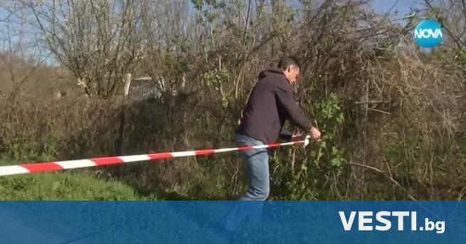 Глутница кучета уби жена в град Долна Оряховица 39 годишната жертва
