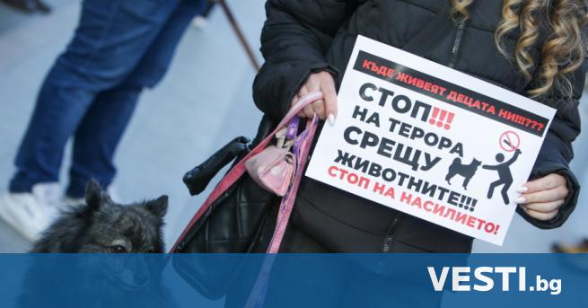 Граждани се събраха на протест пред Съдебната палата в София