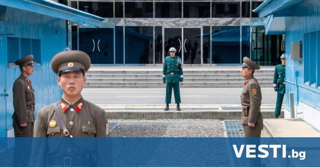 Северна Корея твърди, че около 800 000 нейни граждани доброволно