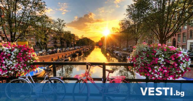 Д обре известната толерантност на нидерландския град Амстердам към леките