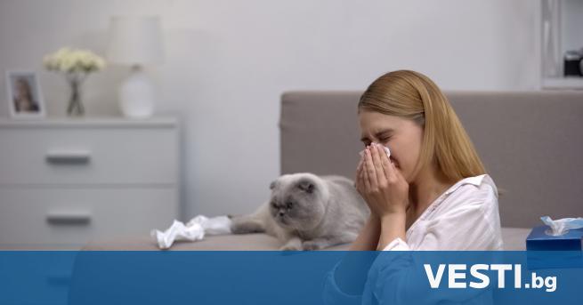 С ред най често срещаните алергени от домашните любимци е тяхната