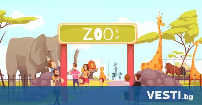 Зоопарковете са едно от любимите места на за разходка особено