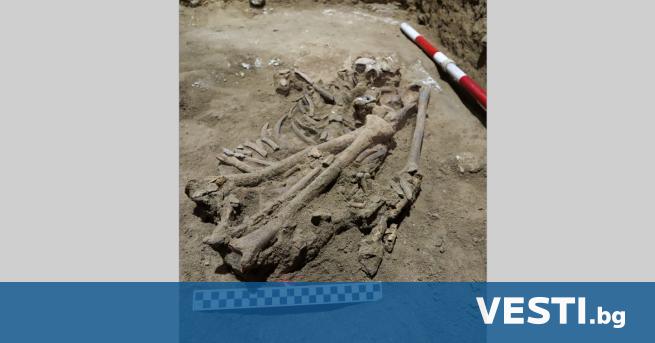 Скелет на 31 000 години на млад мъж с липсваща