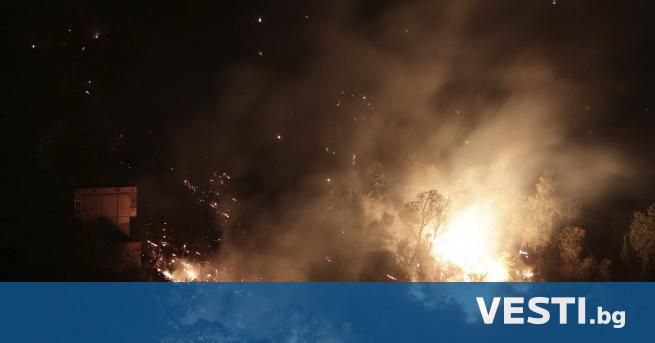 Н ай-малко 65 души са загинали при горските пожари, избухнали