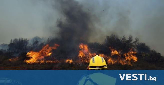Стотици пожарникари във Франция се борят с първия голям горски