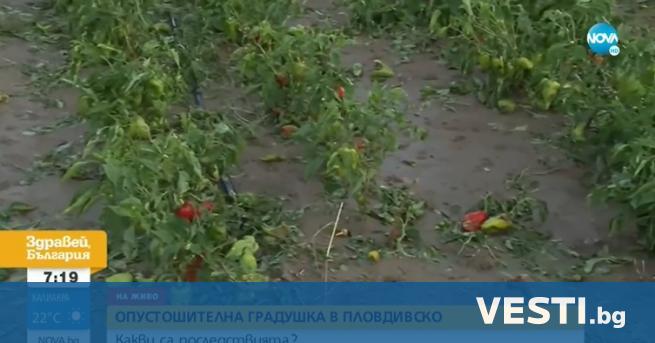 Н евиждано ледено бедствие се стовари върху няколко пловдивски села