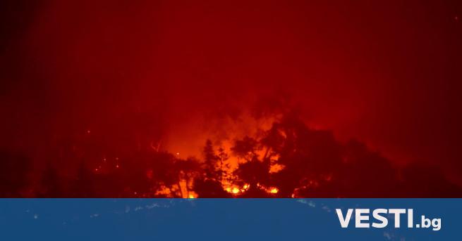 Разрушителните пожари в Гърция през това лято изпепелиха повече от