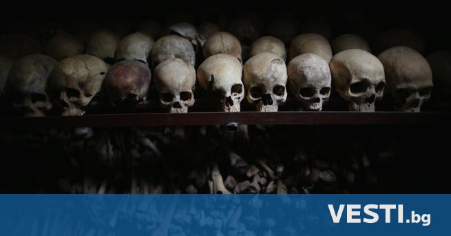 Археолозите проучващи Пещерата на среднощния ужас в Белиз откриват мистериозни