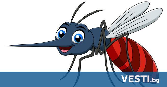 Биолози установиха, че комарите реагират по различен начин на цвета