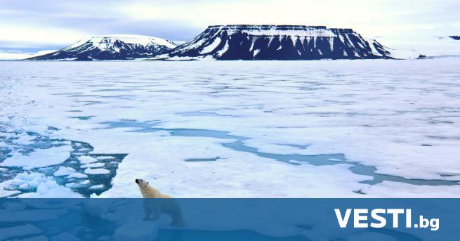 Вируси от Арктика запазени досега в леда могат да се