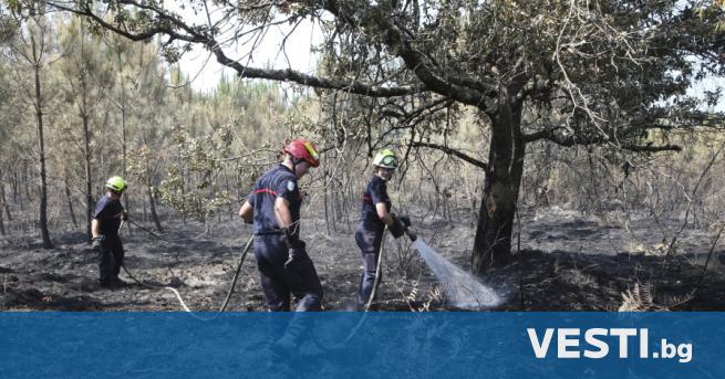 Нови пожари обхванаха Югоизточна Франция като изпепелиха вчера 350 хектара