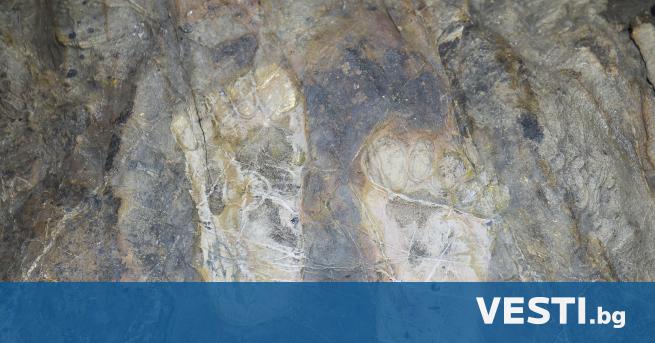 Археолози в Южна Африка са открили отпечатъци от крак на