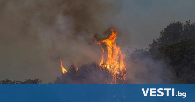 П ожарникарите в Италия съобщиха днес че втори пореден ден
