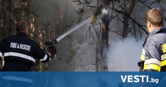 П ожарът в Сакар планина между свиленградските села Планиново и