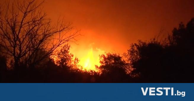 Големият пожар в Бургаско е локализиран Няма информация за пострадали