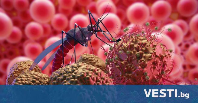 Перу преживява най голямата епидемия от денга в историята на страната