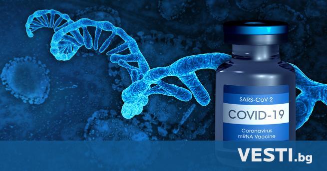 Британският лекарствен регулатор одобри ваксината на Novavax срещу COVID-19 за
