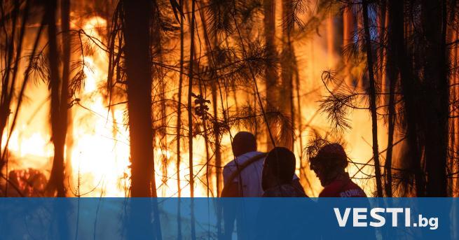 Продължава борбата с пожар в Южна Португалия в която участват